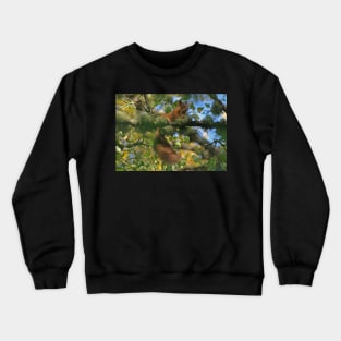 Red Squirrel Crewneck Sweatshirt